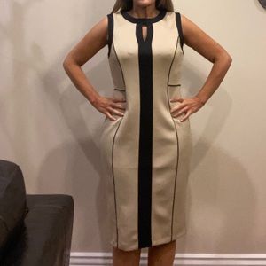 Classic Professional Dress